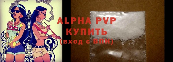 спиды Рославль