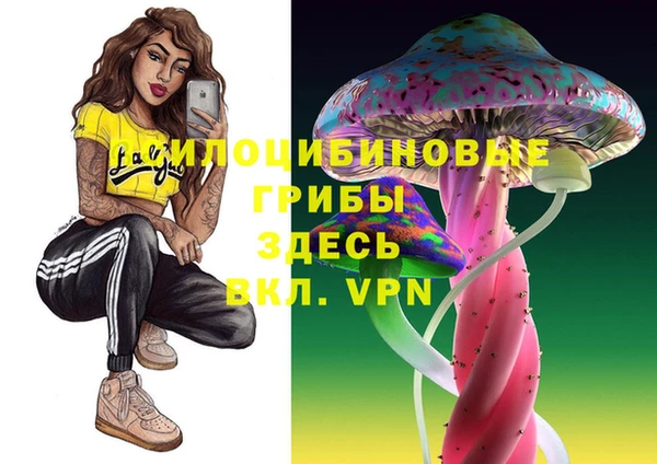 мяу мяу мука Абинск