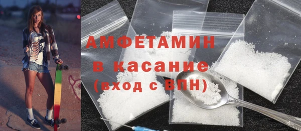 гашик Алексин