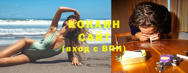сатива Алзамай