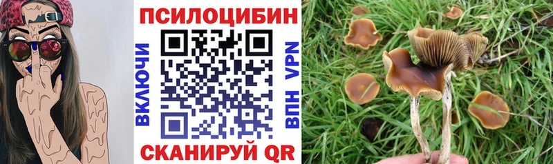 наркошоп  дарк нет клад  Псилоцибиновые грибы ЛСД  Чухлома 